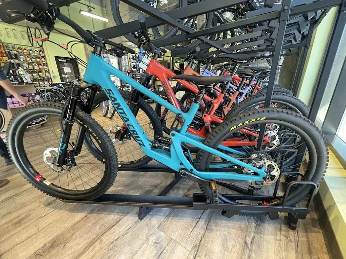 Conte's Bike Shop Picture 8