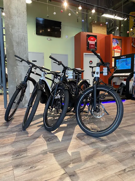 Conte's Bike Shop Picture 10