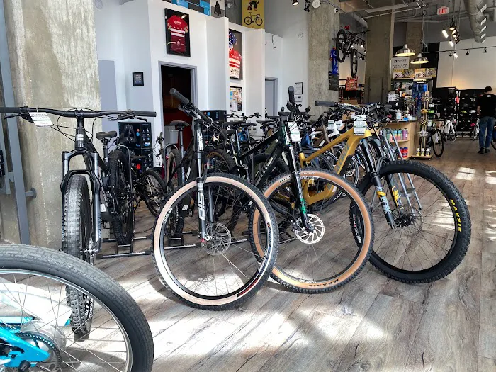 Conte's Bike Shop Picture 9