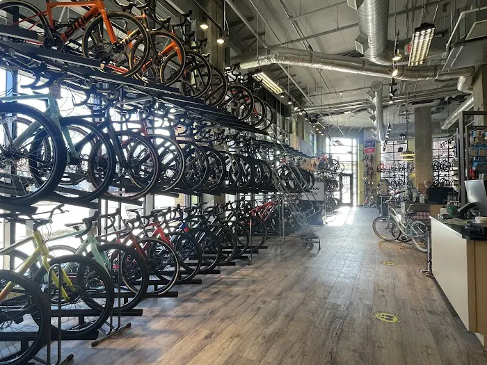 Conte's Bike Shop Picture 5