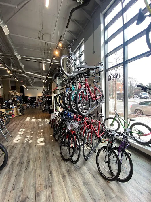 Conte's Bike Shop Picture 3