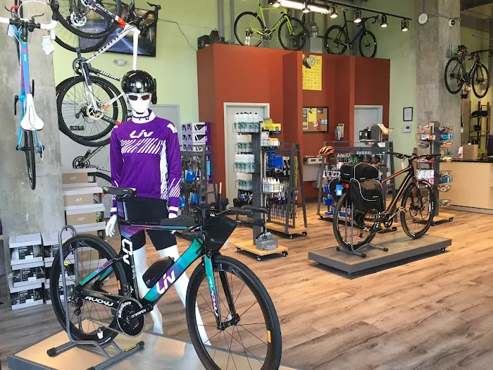 Conte's Bike Shop Picture 6