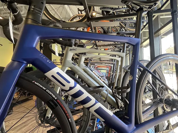 Conte's Bike Shop Picture 7