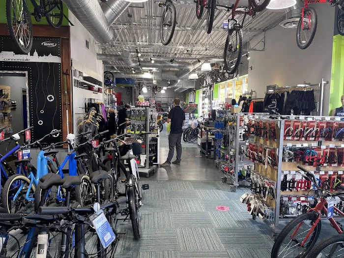 Trek Bicycle Arlington Ballston Picture 8