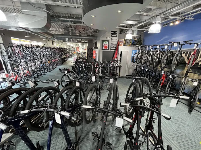 Trek Bicycle Arlington Ballston Picture 7