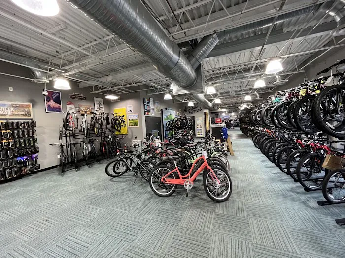 Trek Bicycle Arlington Ballston Picture 10