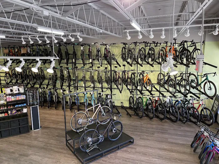 Conte's Bike Shop Picture 2