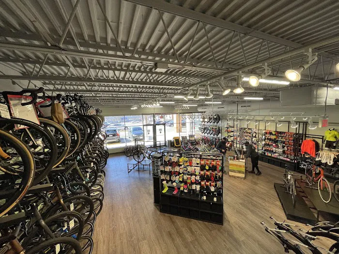 Conte's Bike Shop Picture 10