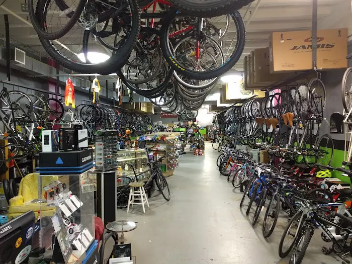Bikenetic Full Service Bicycle Shop Picture 2