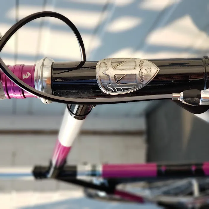 Bikenetic Full Service Bicycle Shop Picture 6