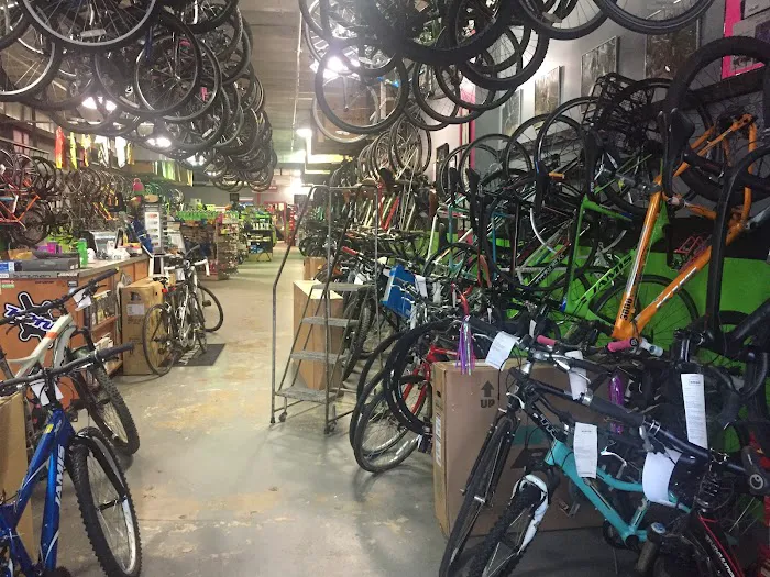 Bikenetic Full Service Bicycle Shop Picture 8