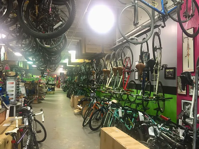 Bikenetic Full Service Bicycle Shop Picture 9