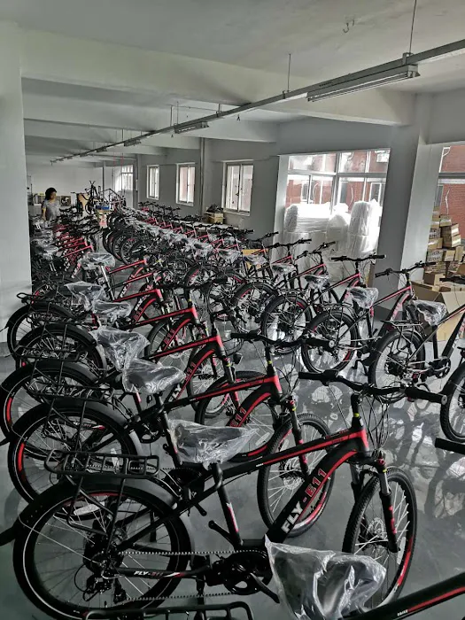 Fly E-Bike Melrose Ave Bronx Picture 5
