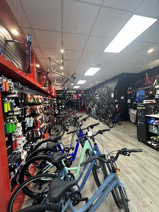 Grand Bicycle Center Picture 8
