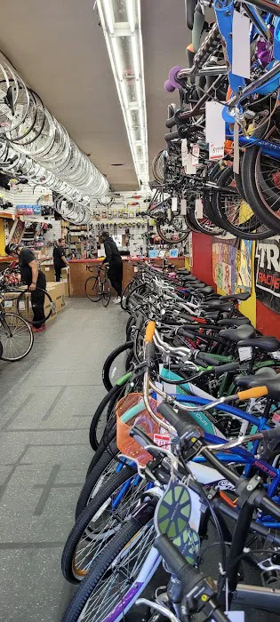 Bellitte Bicycles Picture 4