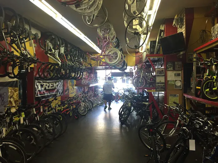 Bellitte Bicycles Picture 2