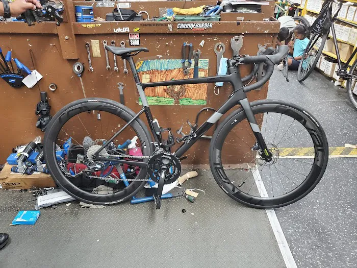 Bellitte Bicycles Picture 9