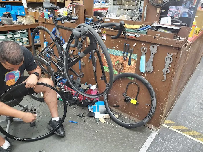 Bellitte Bicycles Picture 6