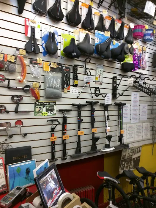 Bellitte Bicycles Picture 5