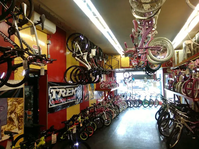 Bellitte Bicycles Picture 3