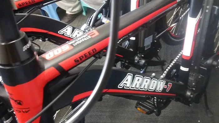 flyebike Electric bicycles Picture 2