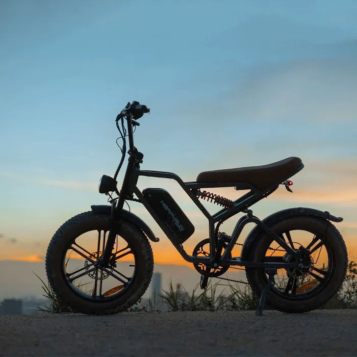 Tele Motors Picture 1