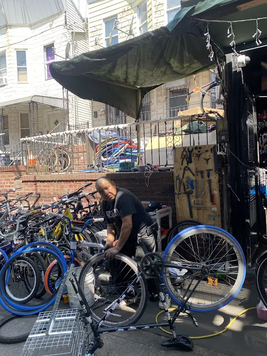 Elias Bicycle Shop Picture 2