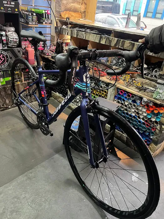 Elias Bicycle Shop Picture 5