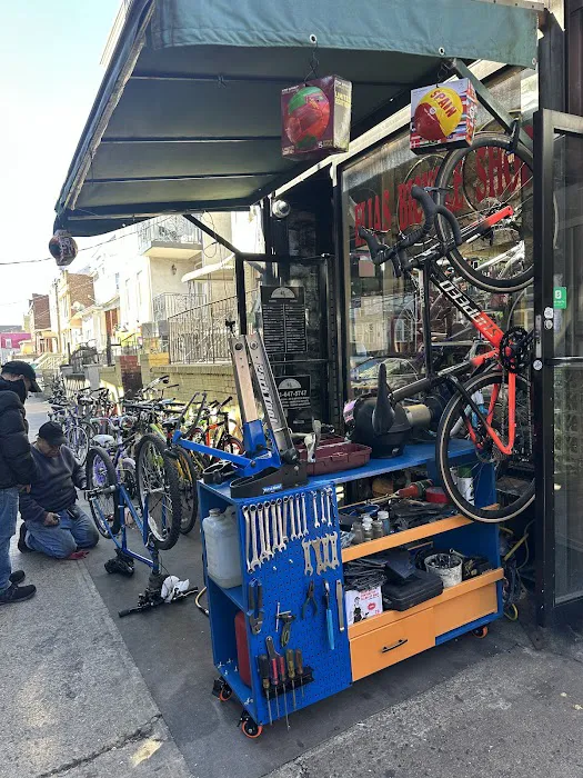 Elias Bicycle Shop Picture 3