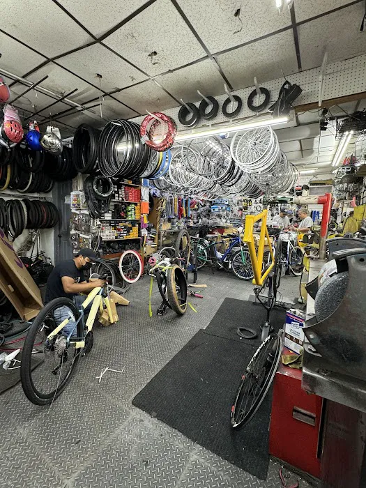 HOSPITAL DE BICICLETAS Picture 10