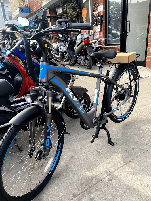 The Best Electric Bike Shop Picture 2