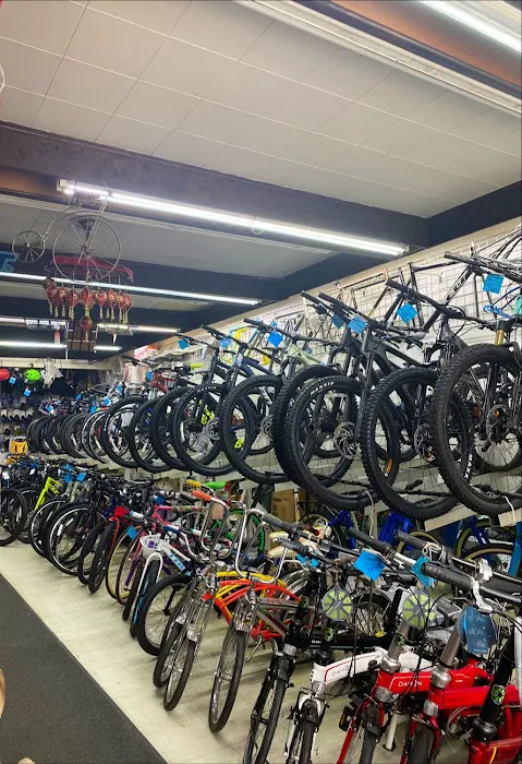 Cigi Bicycle Shop Picture 1