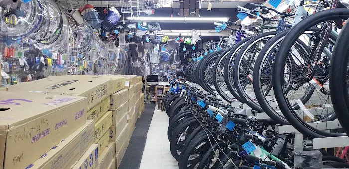 Cigi Bicycle Shop Picture 9