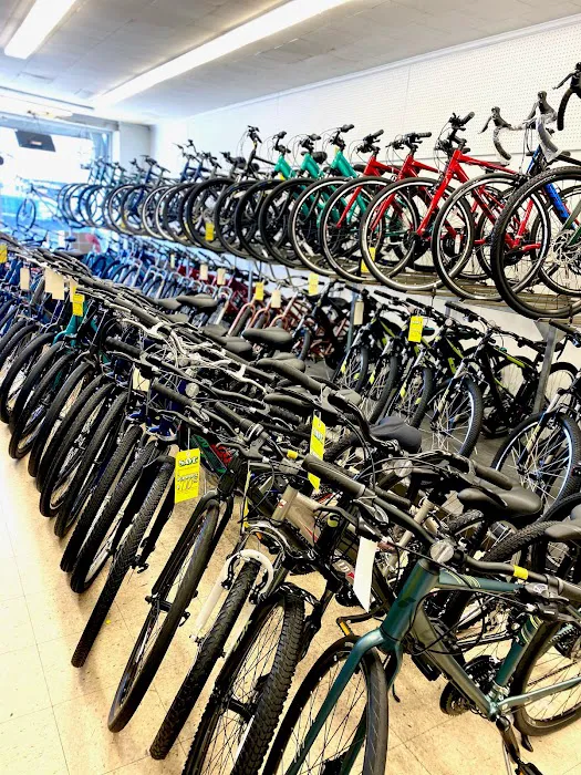Oceanside Cycle Picture 3