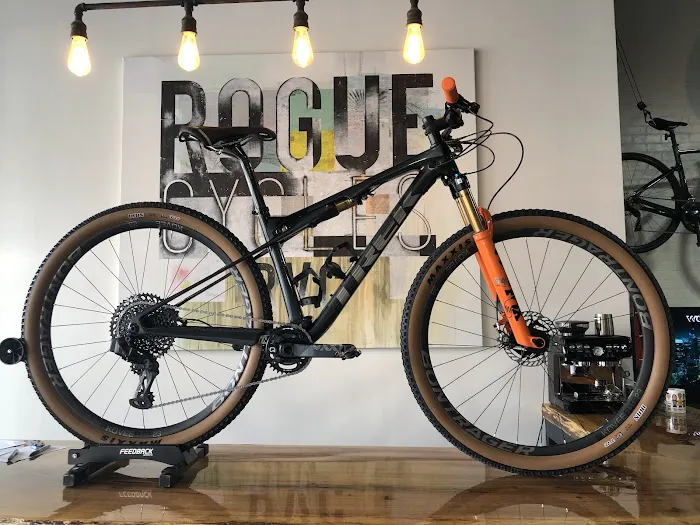 Rogue Cycles RVC Picture 2