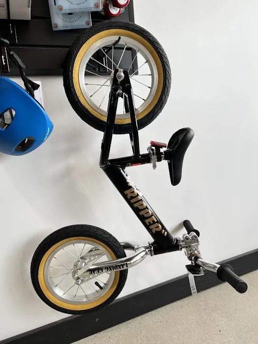Rogue Cycles RVC Picture 5