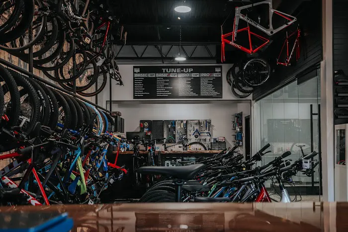 Rogue Cycles RVC Picture 4