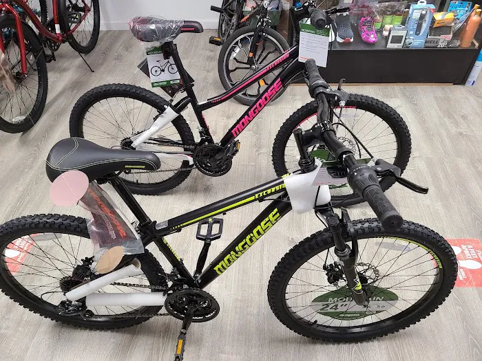 Bikes on wheel Picture 2