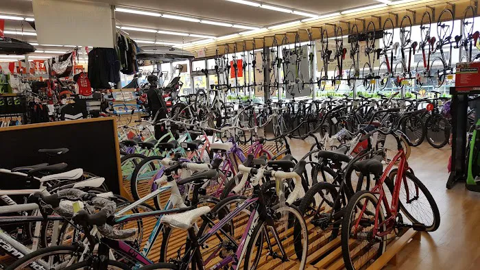 Mineola Bicycle, Fitness & Mower Picture 1