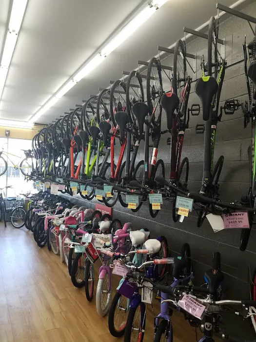 Mineola Bicycle, Fitness & Mower Picture 8