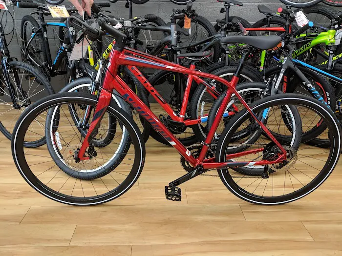 Mineola Bicycle, Fitness & Mower Picture 6