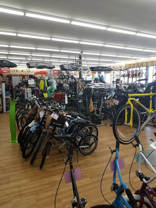 Mineola Bicycle, Fitness & Mower Picture 5