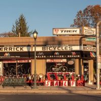 Merrick Bicycles ico