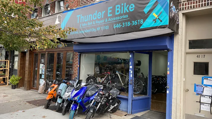 Thunder E-Bike Picture 1