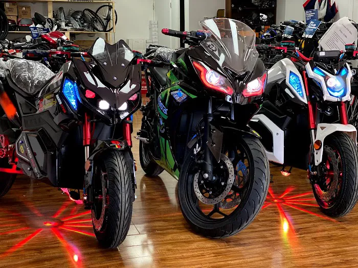 Thunder E-Bike Picture 4