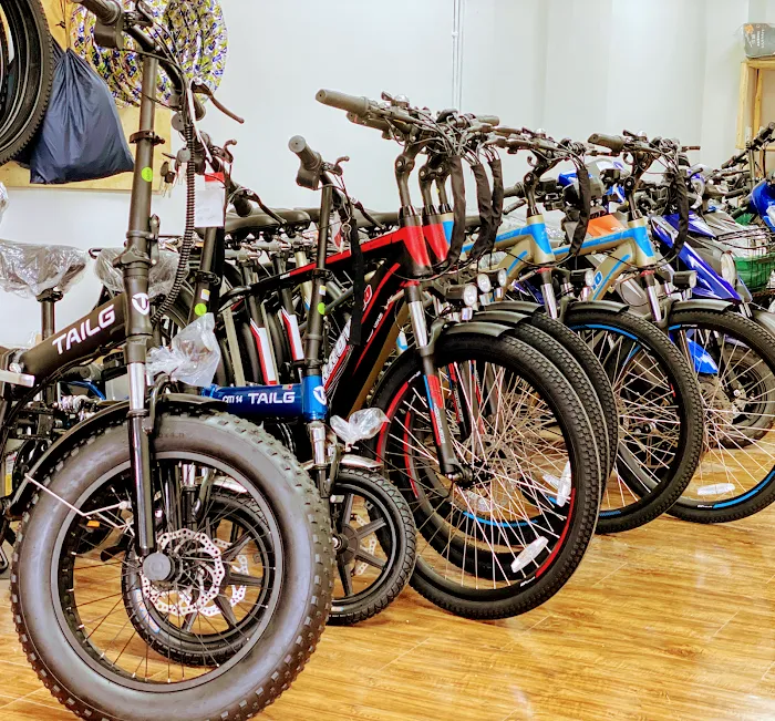 Thunder E-Bike Picture 9