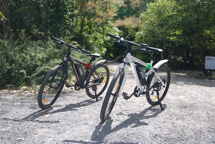 Cervones E-bikes Picture 5