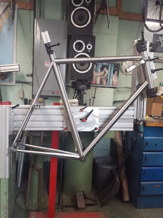 Vicious Cycles Picture 1