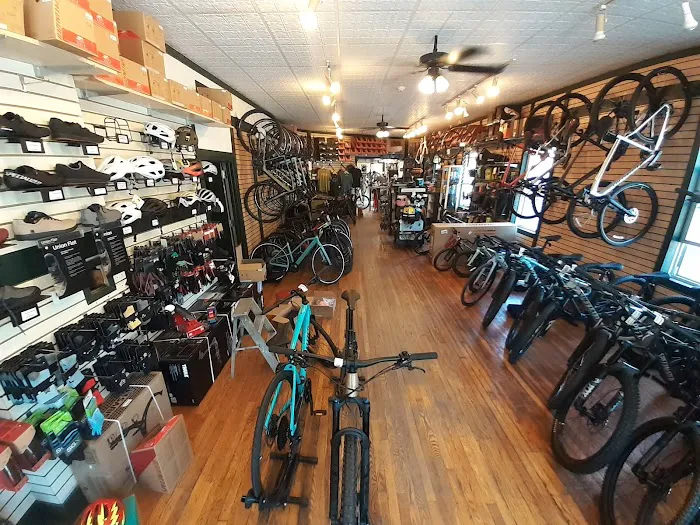 Bicycle Depot Picture 6