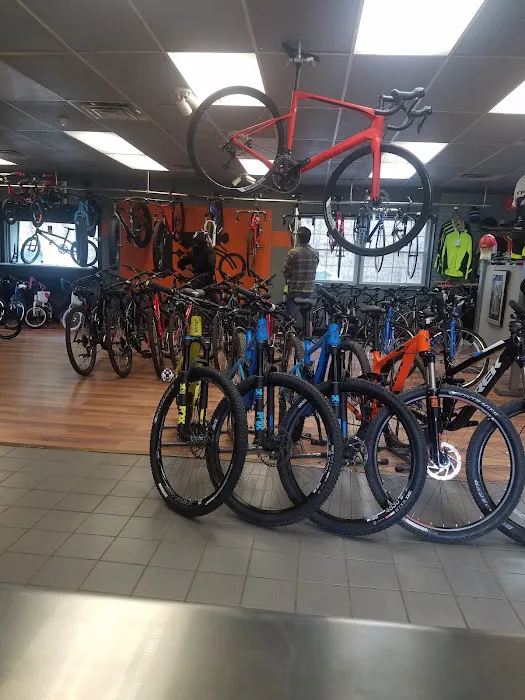 TRT Bicycles Picture 2
